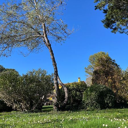 Villa De Miha Valbonne Eksteriør bilde
